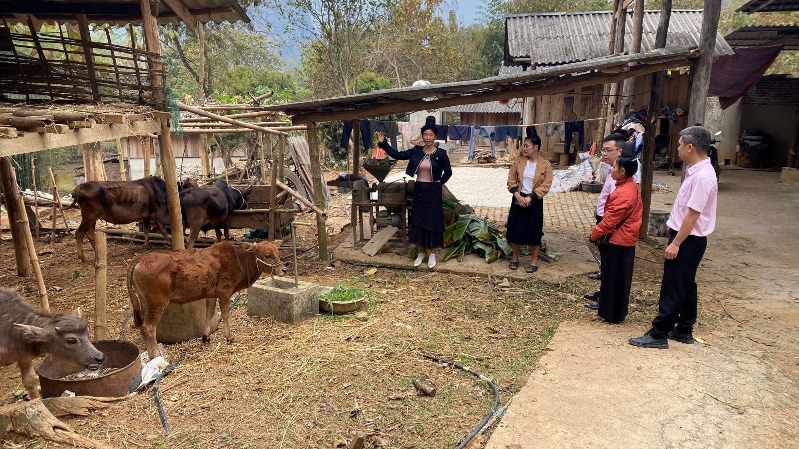 Gương phụ nữ thoát nghèo từ nguồn vốn vay Ngân hàng Chính sách xã hội