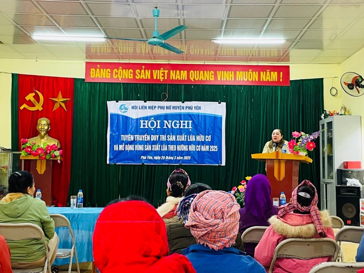 HỘI LHPN HUYỆN PHÙ YÊN PHỐI HỢP TUYÊN TRUYỀN NHÂN RỘNG MÔ HÌNH SẢN XUẤT LÚA THEO HƯỚNG HỮU CƠ