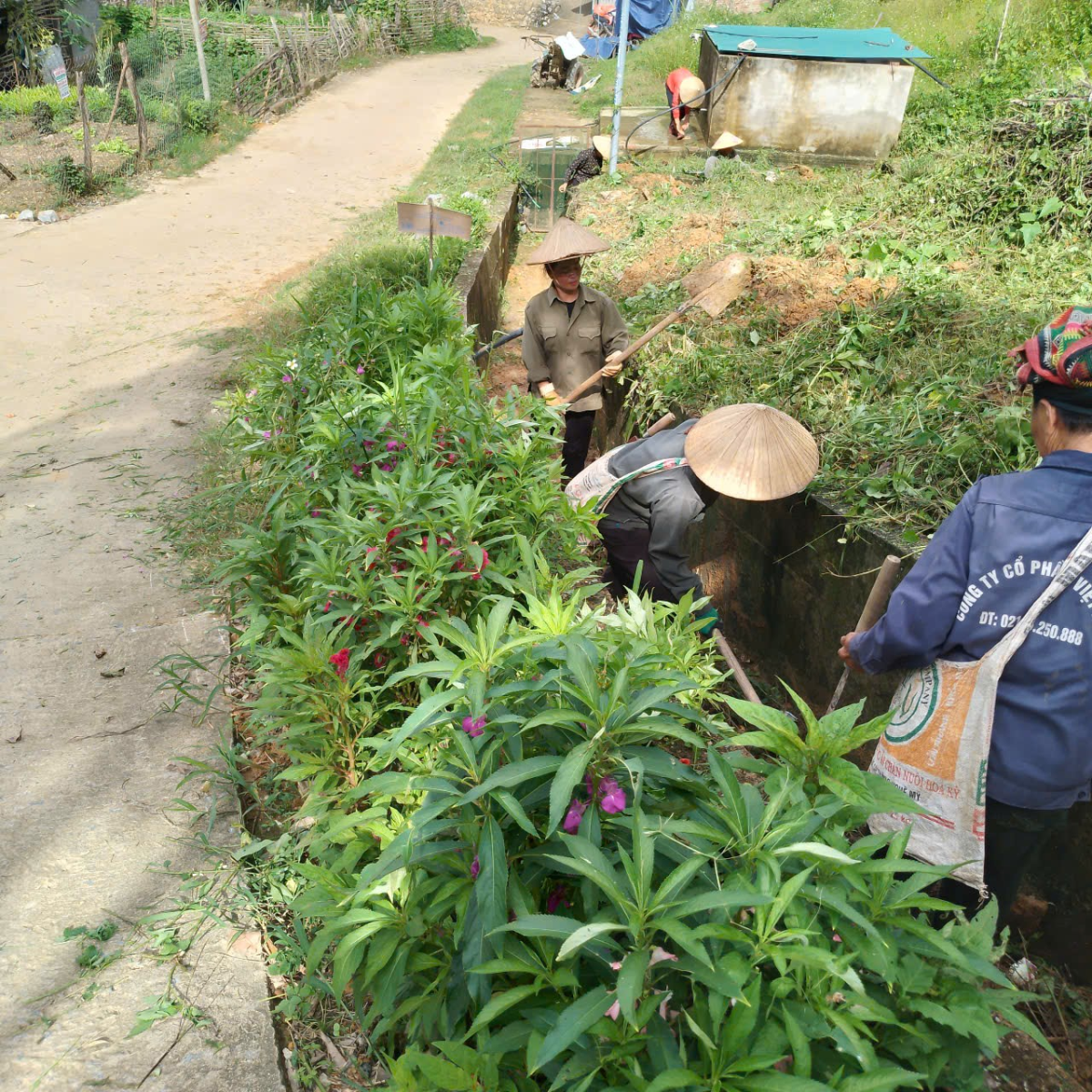 Hội LHPN phường Chiềng An tích cực tổ chức các hoạt động phong trào “Ngày chủ nhật xanh”